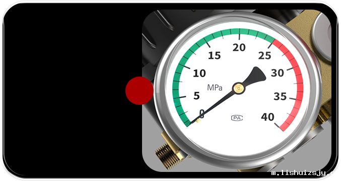 精准可视压力表